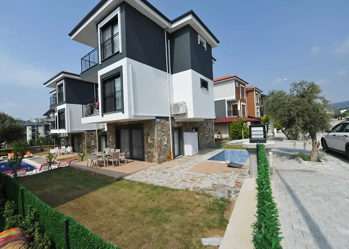 Begonvil Kusadası