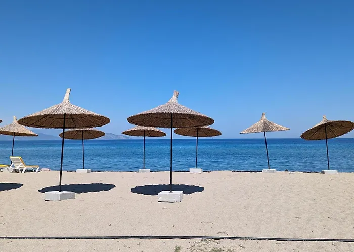 Begonvil Kusadası